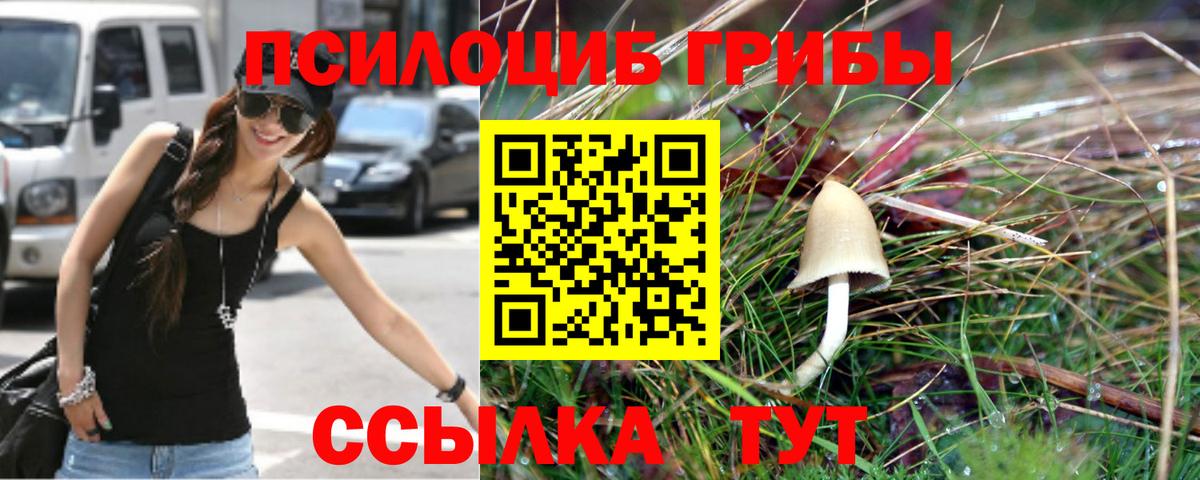 Галлюциногенные грибы Psilocybine cubensis Тула